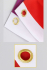 Bandeira LGBTQIAPN+ 